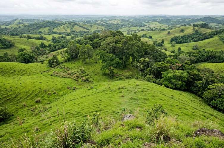 VENTA DE LOTE, RESIDENCIAL Y AGROPECUARIO, HEREDIA, SARAPIQUI