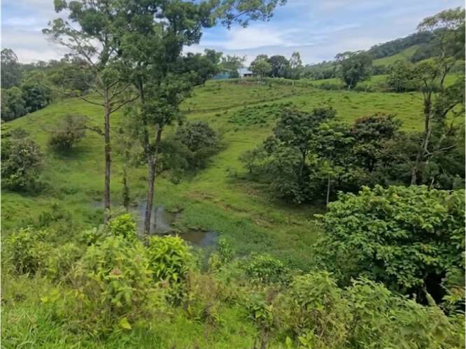 VENTA DE LOTE, RESIDENCIAL Y AGROPECUARIO, HEREDIA, SARAPIQUI - Imagen 5