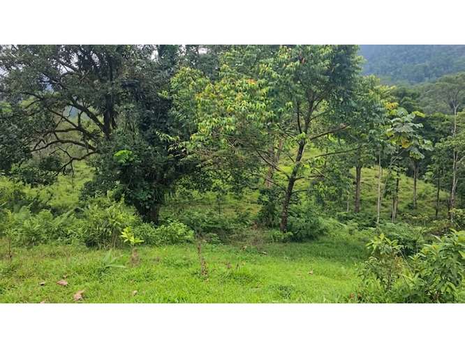 VENTA DE LOTE, RESIDENCIAL Y AGROPECUARIO, HEREDIA, SARAPIQUI - Imagen 1