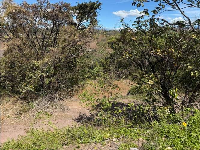 Lote 1,25 Ha. Las Vueltas Guácima - Imagen 4