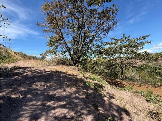 Lote 1,25 Ha. Las Vueltas Guácima - Imagen 16