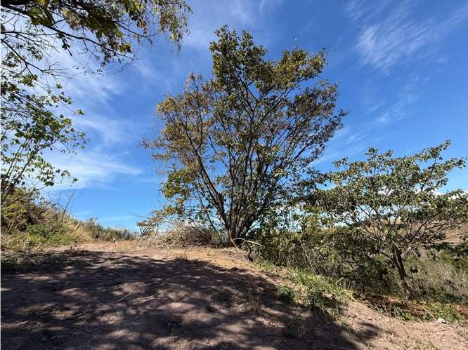 Lote 1,25 Ha. Las Vueltas Guácima - Imagen 17