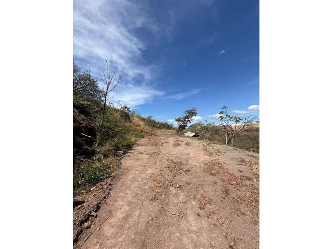 Lote 1,25 Ha. Las Vueltas Guácima - Imagen 13
