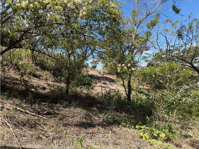 Lote 1,25 Ha. Las Vueltas Guácima - Imagen 18