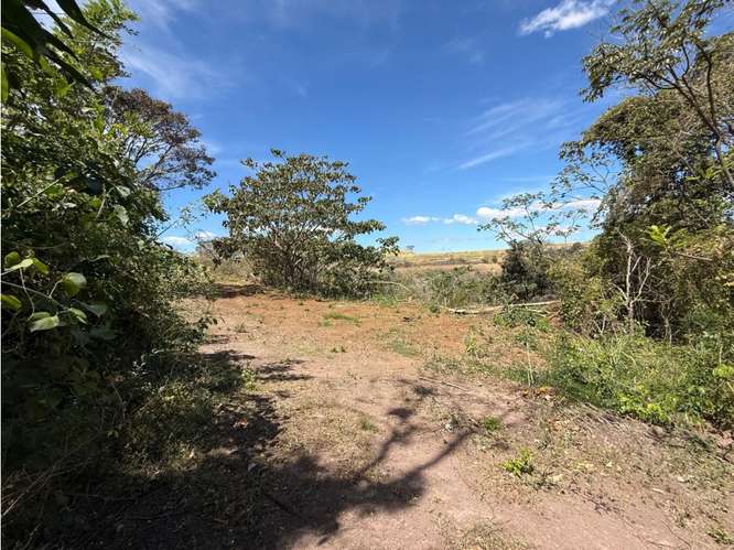 Lote 1,25 Ha. Las Vueltas Guácima - Imagen 20