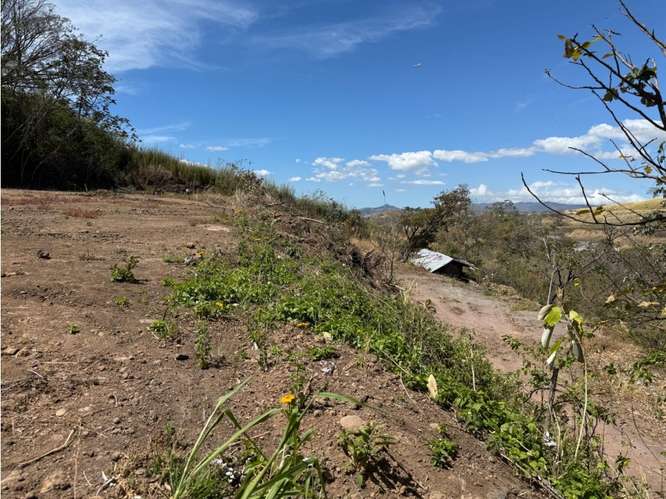 Lote 1,25 Ha. Las Vueltas Guácima - Imagen 9