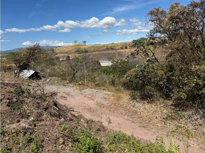 Lote 1,25 Ha. Las Vueltas Guácima - Imagen 8