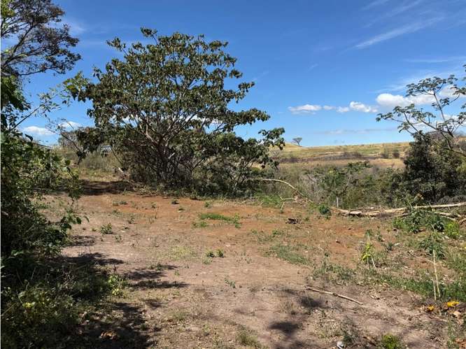 Lote 1,25 Ha. Las Vueltas Guácima - Imagen 19