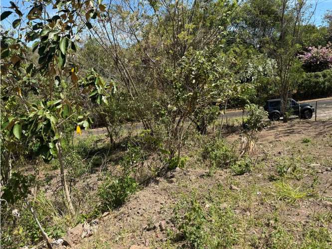 Lote 1,25 Ha. Las Vueltas Guácima - Imagen 5