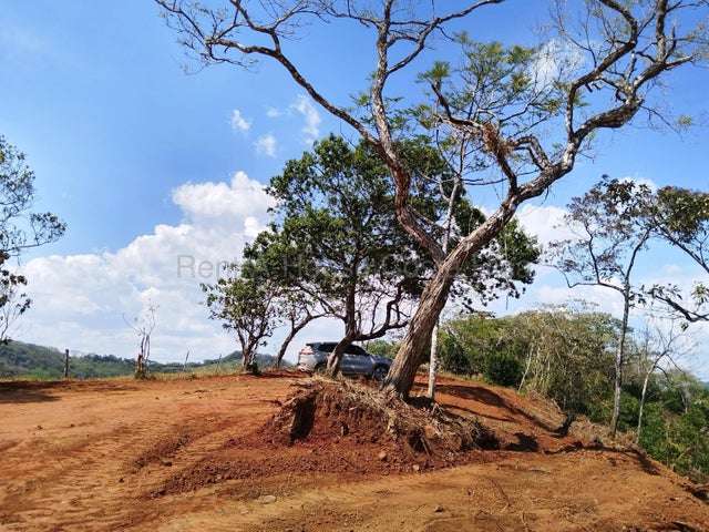 Venta de Lote en Nicoya-Belén De Nosarita. 27-381 - Imagen 5