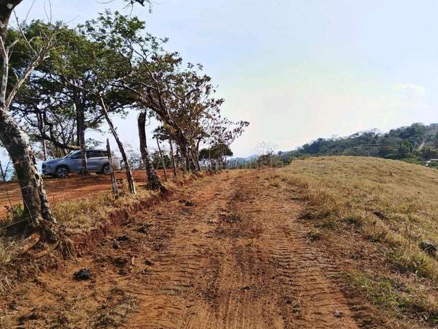 Venta de Lote en Nicoya-Belén De Nosarita. 27-381 - Imagen 6