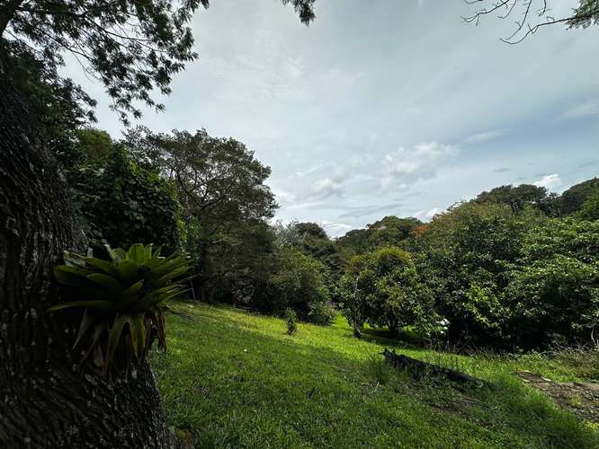 Exclusiva Propiedad en Venta | 20.367 m² Monte de La Cruz en San Rafael de Heredia - 03 - Imagen 19