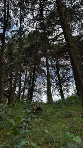 Terreno en San Isidro de Heredia - Imagen 6
