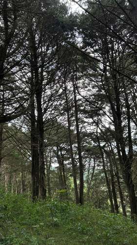 Terreno en San Isidro de Heredia - Imagen 15