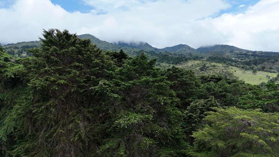 Terreno en San Isidro de Heredia