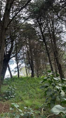 Terreno en San Isidro de Heredia - Imagen 14