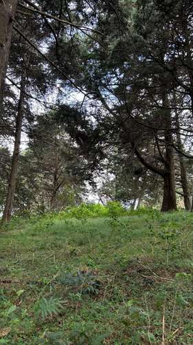Terreno en San Isidro de Heredia - Imagen 17