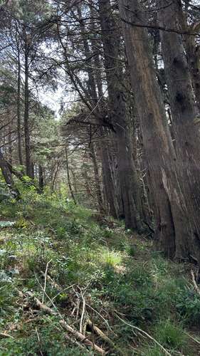 Terreno en San Isidro de Heredia - Imagen 8