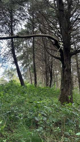 Terreno en San Isidro de Heredia - Imagen 16