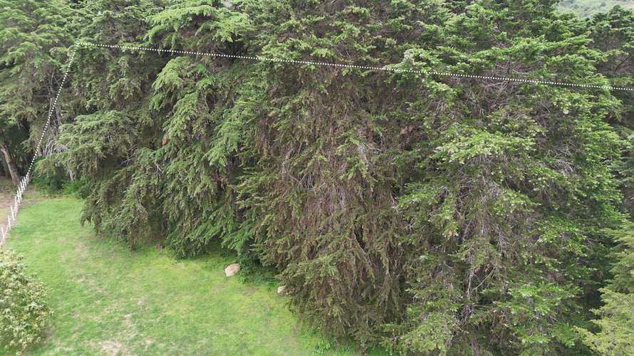 Terreno en San Isidro de Heredia