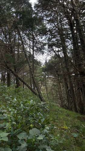 Terreno en San Isidro de Heredia - Imagen 12