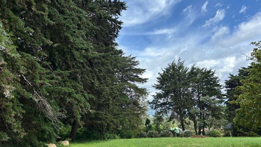 Terreno en San Isidro de Heredia - Imagen 4
