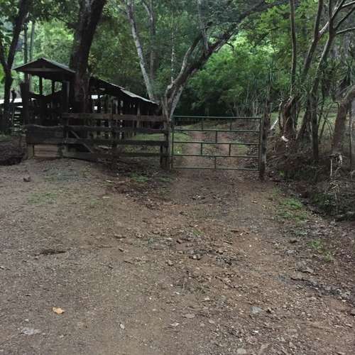 Terreno en ZONA AZUL Nicoya, Guanacaste | Naturaleza, vistas al mar  - Imagen 16