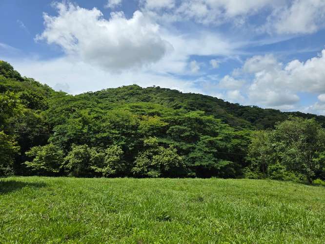 Terreno en ZONA AZUL Nicoya, Guanacaste | Naturaleza, vistas al mar  - Imagen 2