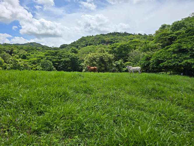 Terreno en ZONA AZUL Nicoya, Guanacaste | Naturaleza, vistas al mar  - Imagen 5