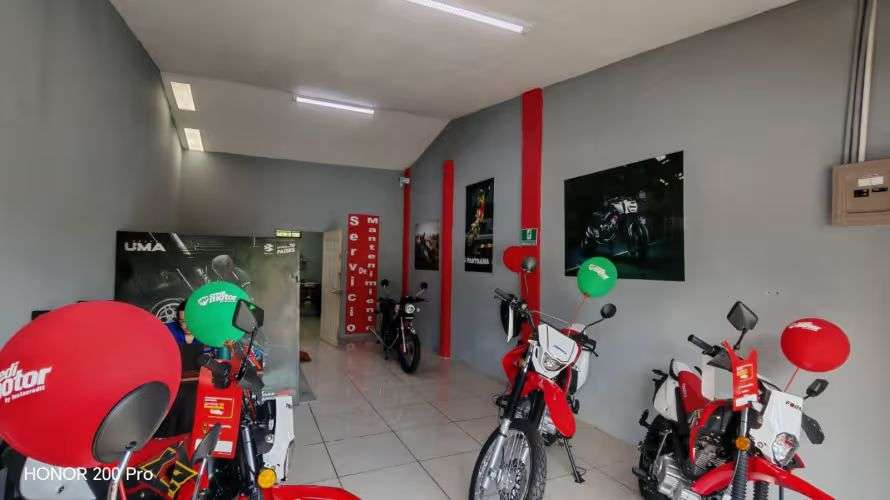 Rentabilidad 9,5% Local Comercial, Desamparados, San José  18243