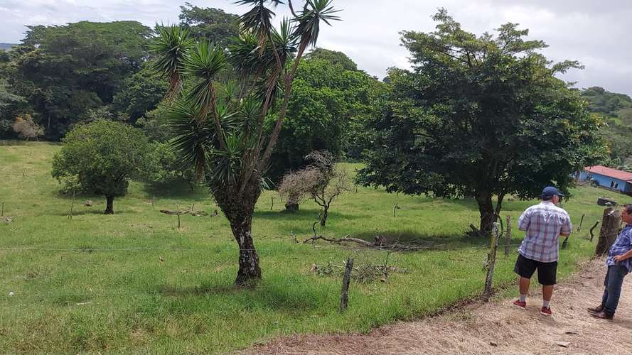 PRECIO Y LUGAR DE OPORTUNIDAD,FINCA EN TILARÁN, GUANACASTE,18 HECTÁREAS  - Imagen 17