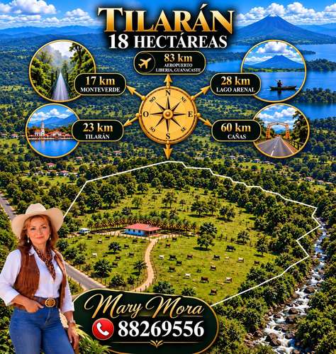 PRECIO Y LUGAR DE OPORTUNIDAD,FINCA EN TILARÁN, GUANACASTE,18 HECTÁREAS  - Imagen 5