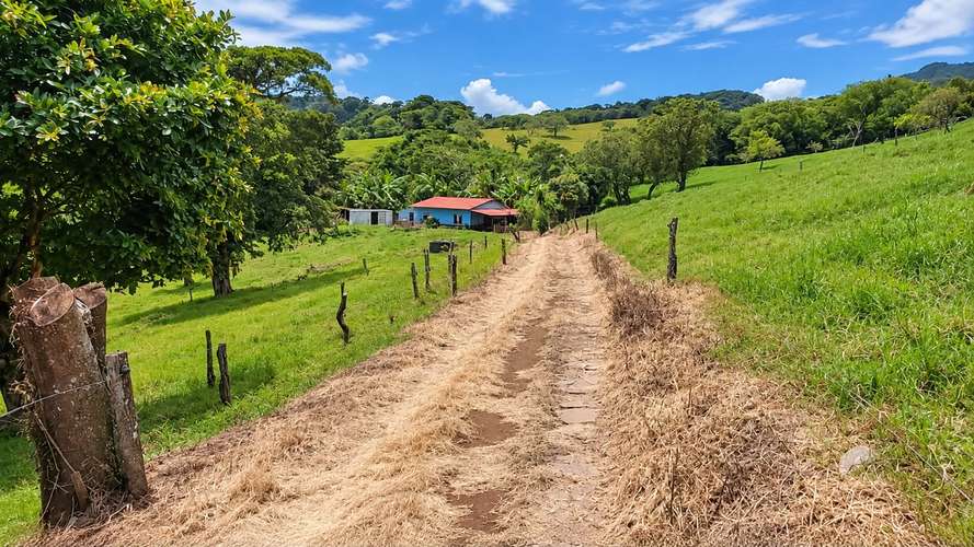 PRECIO Y LUGAR DE OPORTUNIDAD,FINCA EN TILARÁN, GUANACASTE,18 HECTÁREAS  - Imagen 11