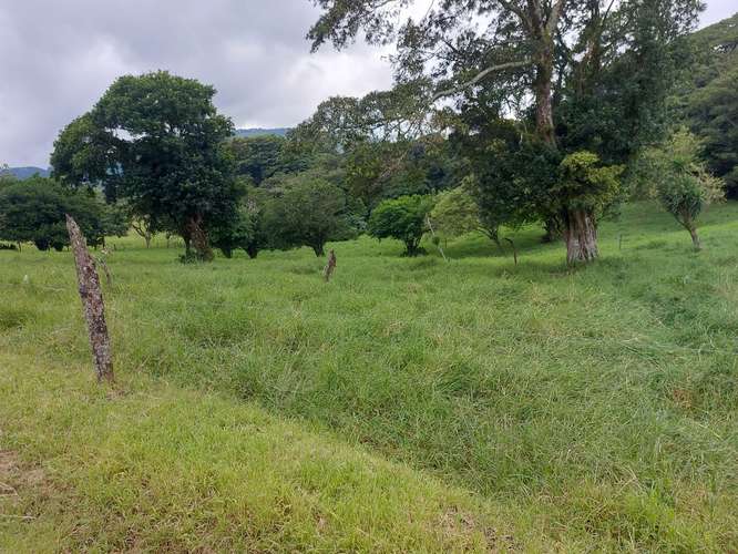 PRECIO Y LUGAR DE OPORTUNIDAD,FINCA EN TILARÁN, GUANACASTE,18 HECTÁREAS  - Imagen 18