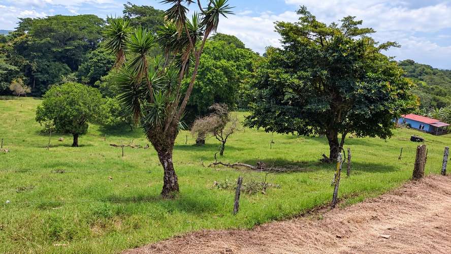 PRECIO Y LUGAR DE OPORTUNIDAD,FINCA EN TILARÁN, GUANACASTE,18 HECTÁREAS  - Imagen 9
