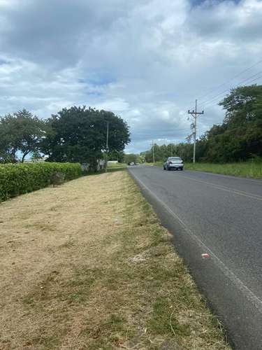 Venta de Terreno en Cañas, Guanacaste 07