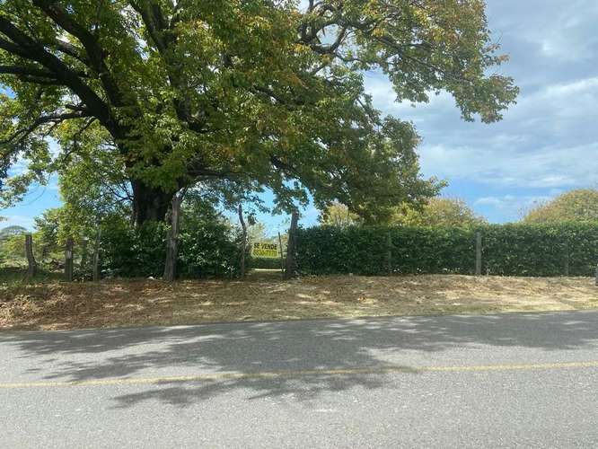Venta de Terreno en Cañas, Guanacaste 07
