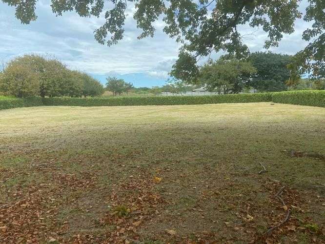Venta de Terreno en Cañas, Guanacaste 07