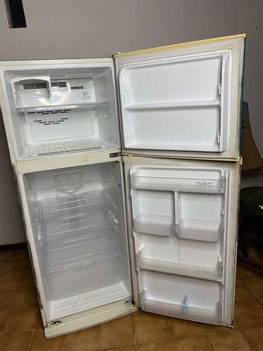 Refrigerador LG  funcional -  Pieza única de  diseño pez Koi (pintada a mano)
