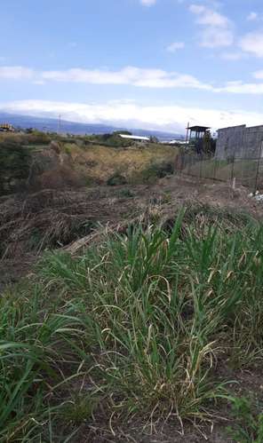 *Venta de terreno de 2 hectáreas ideal para desarrollar en Tibás - Imagen 5