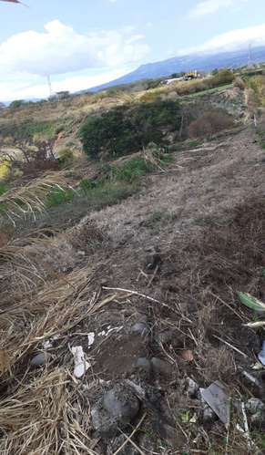 *Venta de terreno de 2 hectáreas ideal para desarrollar en Tibás - Imagen 6
