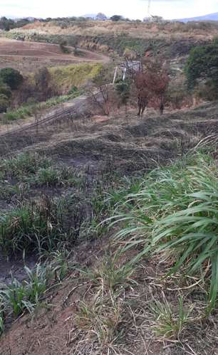 *Venta de terreno de 2 hectáreas ideal para desarrollar en Tibás - Imagen 4