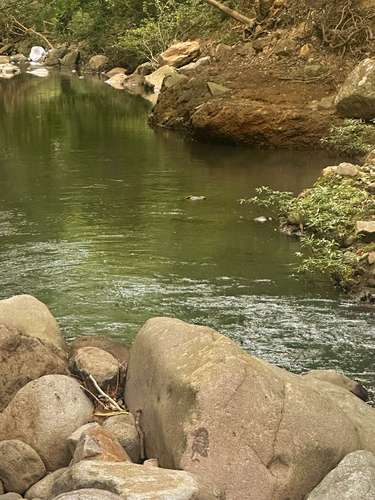 Exclusivas ecofincas en Liberia: 4 propiedades, una inversión en riqueza natural - Imagen 11