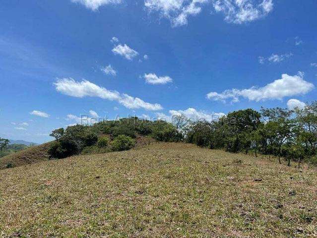 Venta de Lote en Nicoya-Belén De Nosarita. 27-380 - Imagen 9
