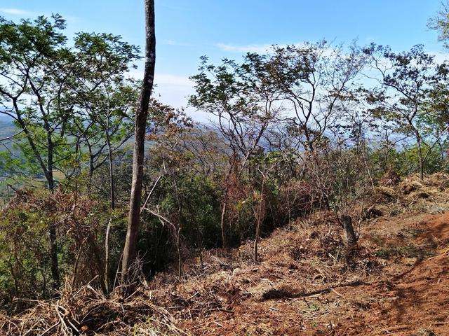 Venta de Lote en Nicoya-Belén De Nosarita. 27-380 - Imagen 5