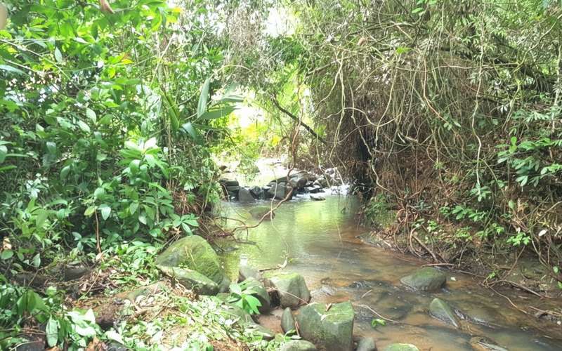 Venta finca Alajuela San Ramón 