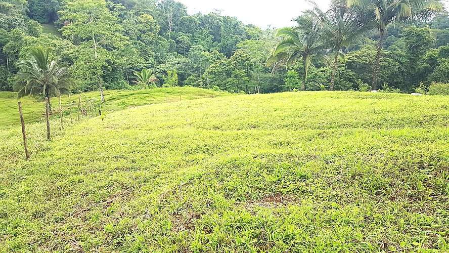 Venta finca Alajuela San Ramón 