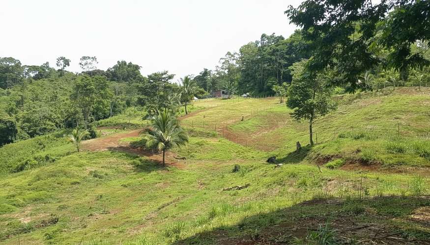 Venta finca Alajuela San Ramón 