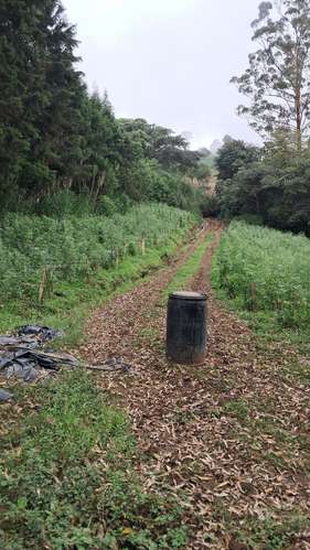 Venta de terreno  - Imagen 5