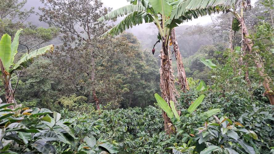 Venta de terreno 